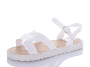 Lion 888-12 от магазина Frison