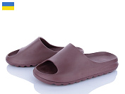 Шлепанцы Golden Lion 135 шоколад от магазина Frison