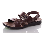 Spencer 752 brown от магазина Frison