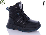 Ботинки Paliament C1103-7 от магазина Frison