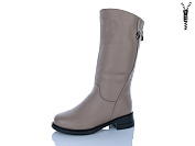 Сапоги I.Trendy DH3901-3 от магазина Frison
