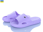 Шлепанцы Golden Lion 258 лаванда от магазина Frison