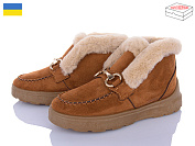 Ботинки Paolla 1525 рудий от магазина Frison