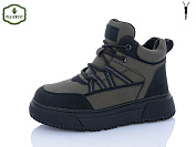 Ботинки Paliament C1600-3 от магазина Frison