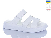 Шлепанцы X&L 98-32 от магазина Frison