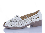 Туфли Wsmr 605-2 от магазина Frison