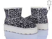 Угги Мир 4224-5854 shell от магазина Frison