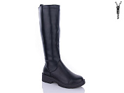 Сапоги Qq Shoes 81-11 от магазина Frison