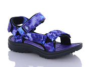 Босоножки Eebb 1525-3 от магазина Frison