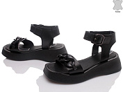 Gratis 5024-088 чорний от магазина Frison