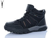 Ботинки Dafuyuan 61527 от магазина Frison