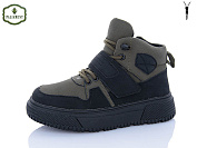 Ботинки Paliament C1602-3 от магазина Frison