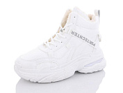 Ботинки Башили B919-2 от магазина Frison