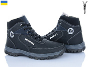 Ботинки Paolla ЛБ31M чор-синій от магазина Frison