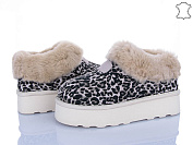 Угги Мир 4224-5802 shell от магазина Frison