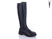 Сапоги Qq Shoes 81-31 от магазина Frison