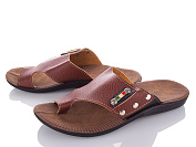 Шлепанцы Lorin SK св.коричневый от магазина Frison