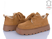 Ботинки Pl Ps 2805-6 от магазина Frison