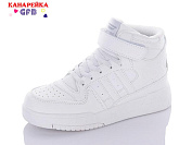 Кроссовки Gfb R3202-4 от магазина Frison