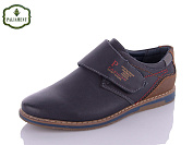 Туфли Paliament C6926-1 от магазина Frison