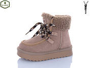 Угги Paliament B811-6 от магазина Frison