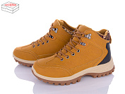 Ботинки Bdds LL119 camel от магазина Frison