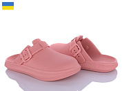 Шлепанцы Golden Lion 421 пудра от магазина Frison