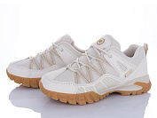 Кроссовки Мир 4172-B612-7 от магазина Frison