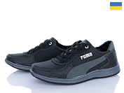 Кроссовки Paolla KP49 чор-сірий от магазина Frison