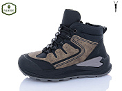 Ботинки Paliament C1631-8 от магазина Frison