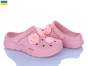 Кроксы Golden Lion 411 пудра от магазина Frison