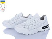 Кроссовки Ailinda 54309-8 от магазина Frison