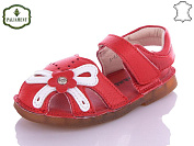 Paliament* A43C-13 от магазина Frison