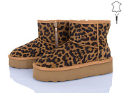 Угги Мир 4224-5854 camel от магазина Frison