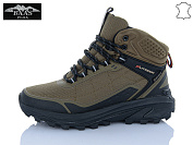 Кроссовки Baas B5240-19 от магазина Frison