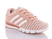 Кроссовки Fed B727-9 от магазина Frison