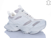 Кроссовки Trasta WDP1898-26 от магазина Frison