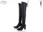 Ботфорты Gallop 608 от магазина Frison