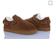 Туфли Itts Q302-45 от магазина Frison