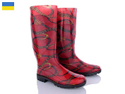 Сапоги Tama 003-229 от магазина Frison