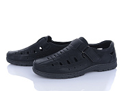 Туфли Baolikang Y833 от магазина Frison