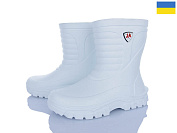 Сапоги Apawwa 125154-47A от магазина Frison