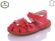 Paliament* A35B-13 от магазина Frison