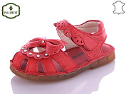 Paliament* A36C-13 от магазина Frison