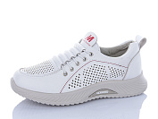 Кроссовки I.Trendy BK550-31 от магазина Frison