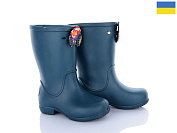 Сапоги Apawwa 123052 от магазина Frison