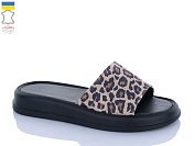 Шлепанцы Garti 10 лео-бежевий от магазина Frison