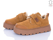 Туфли Pl Ps 2807-6 от магазина Frison