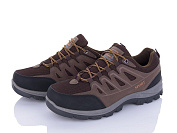 Кроссовки Violeta 9-776 coffee от магазина Frison