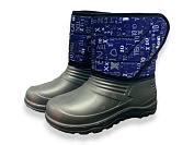 Сапоги Rai Shoes DC8-6 літери от магазина Frison